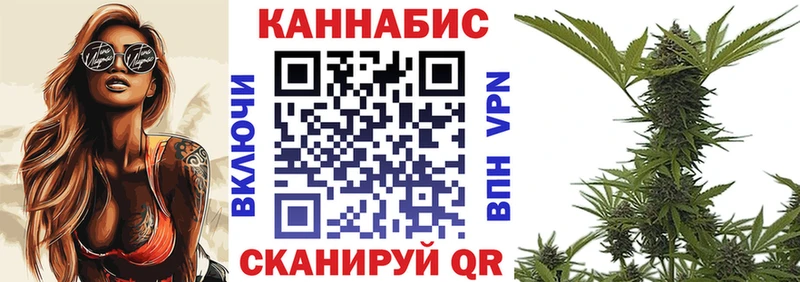 Купить  Заволжье  Каннабис SATIVA & INDICA 